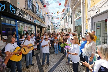 Setúbal - Decoração da Rua Dr. Paula Borba no centro da cidade por todo o concelho milhares de voluntários ajudaram a reabilitar a imagem urbana