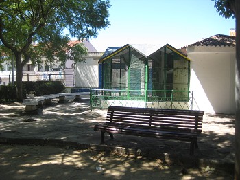 Quotidianos - Barreiro Um oásis no coração da Vila do Lavradio