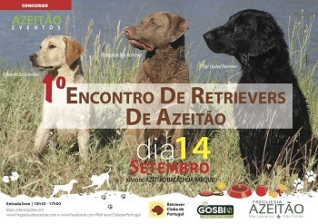 Em Azeitão - Setúbal «1º Encontro de Retrievers de Azeitão»