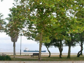A (nota) mentos Bastonário da Ordem do Engenheiros contra a construção do Porto do Barreiro Não, apenas, porque não…