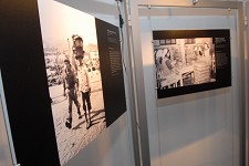 AGENDA CULTURAL EXPOSIÇÕES Dia 3 de Fevereiro