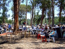 Câmara do Barreiro Promove actividades dirigidas à população sénior