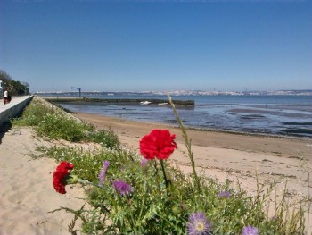 Por dentro dos dias - Barreiro A cidade onde aprendi a sentir a liberdade no coração