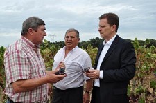 Bloco de Esquerda - Setúbal Defende em visita a Palmela apoio aos viticultores afectados pelo «escaldão»