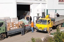 Instituições de solidariedade social de Santiago do Cacém Câmara transporta 22 toneladas de alimentos