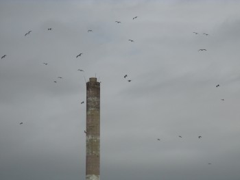 Barreiro – Por dentro dos Dias A morte é uma certeza. Viver é uma incerteza.