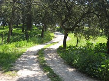 Projecto VAMOS - Voluntariado Ambiental Municipal do Barreiro Promoção de uma cidadania activa