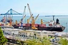 PORTO DE SETÚBAL Terminal Multiusos Zona 1 mantém rota de crescimento no 1º semestre