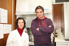 Dieta Mediterrânica Investigadores da UC identificam os compostos mais benéficos para a prevenção do cancro da mama e do melanoma