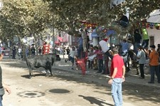 Na Moita Tradicional Feira de Maio está a chegar