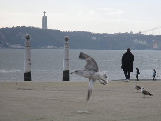 Barreiro - Por dentro dos Dias Dez anos, afinal, não é muito tempo…