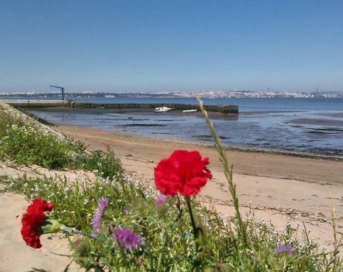 Por dentro dos Dias – Barreiro Chegou a Liberdade e a Democracia.