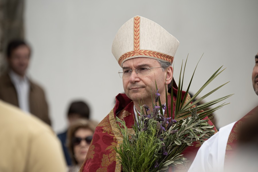 Bispo de Setúbal, Cardeal D. Américo Aguiar no Domingo de Ramos Não esqueceu as crianças na Terra Santa, da Ucrânia e da Rússia que tanto têm sofrido.