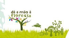 Setúbal - Em parceria com as autarquias Portucel sensibiliza para a importância de cuidar da floresta