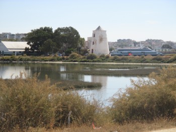 Por dentro dos dias - Barreiro Mais que «criticismo» o que precisamos é de «Barreirismo»