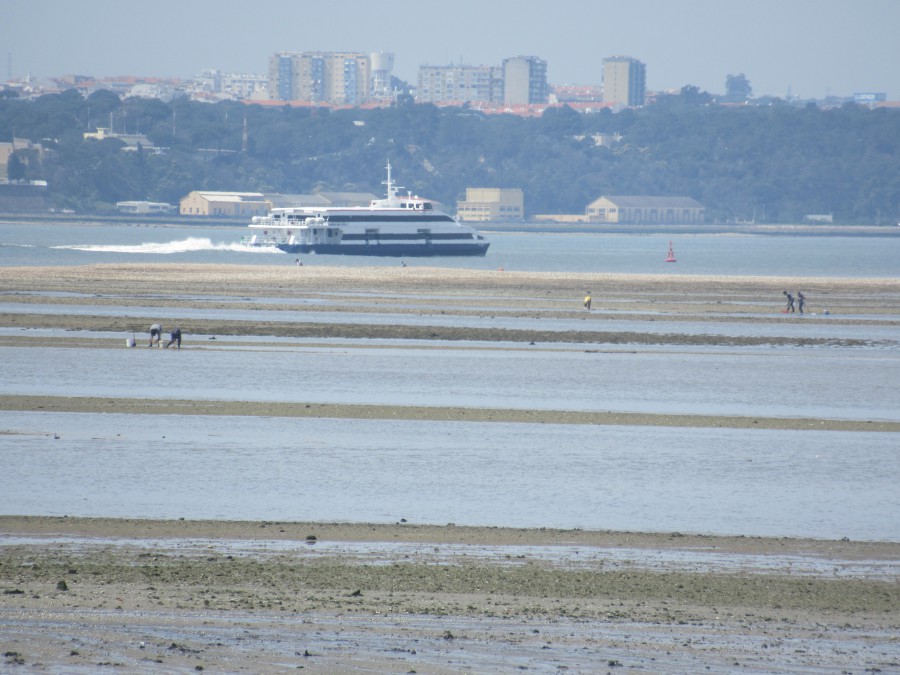 Por dentro dos dias – Barreiro O copo meio cheio. O copo meio vazio