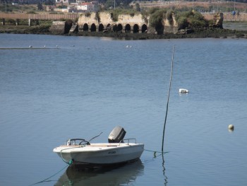 Por dentro dos dias - Barreiro É preciso nunca desistir!