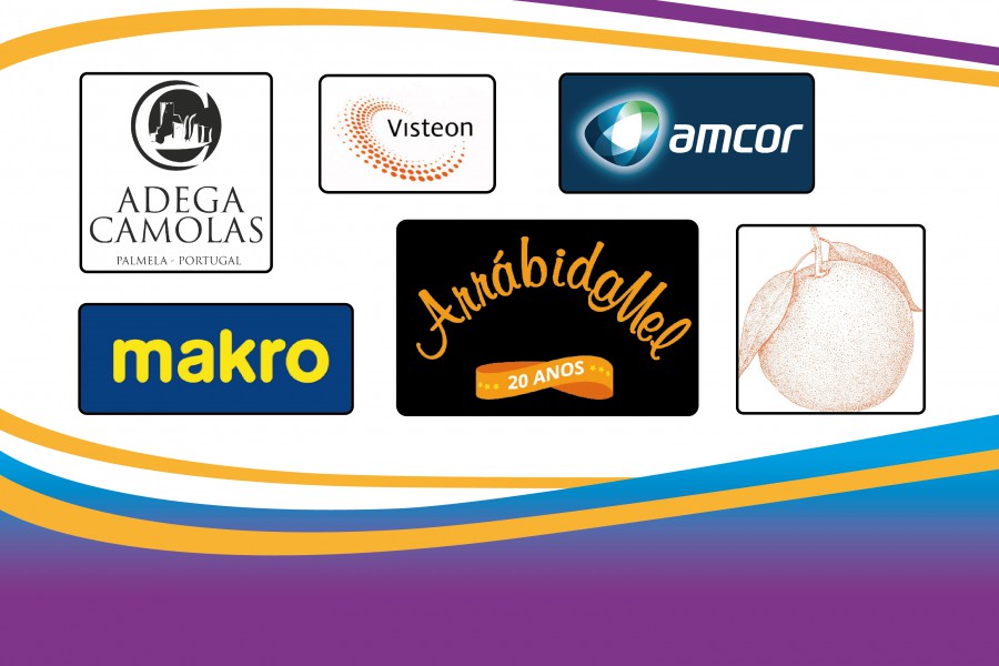 Palmela - Perante a dificuldade na aquisição de vários produtos COVID-19 – Empresas Solidárias