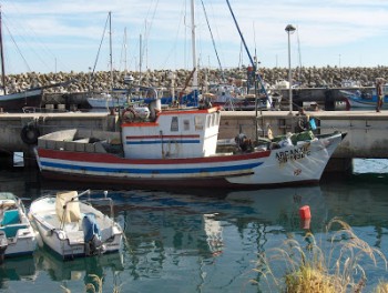 Sesimbra - Quatro tripulantes do naufrágio da embarcação ARCANZIL Encaminhados para o Hospital de São Bernardo de Setúbal em situação estável.