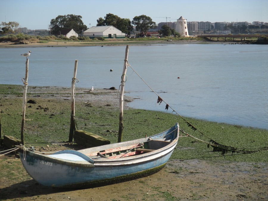Por dentro dos dias – Barreiro Uma tarde entre palavras e fotografias