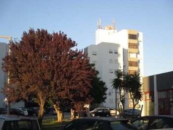 Barreiro – Por dentro dos Dias Dou comigo a pensar nestes acasos da vida