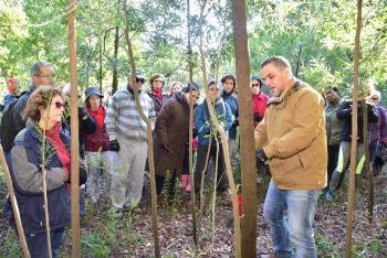 Mata da Machada «Pulmão verde do Concelho do Barreiro» com 372 hectares Câmara Municipal comemorou Dia da Floresta Autóctone