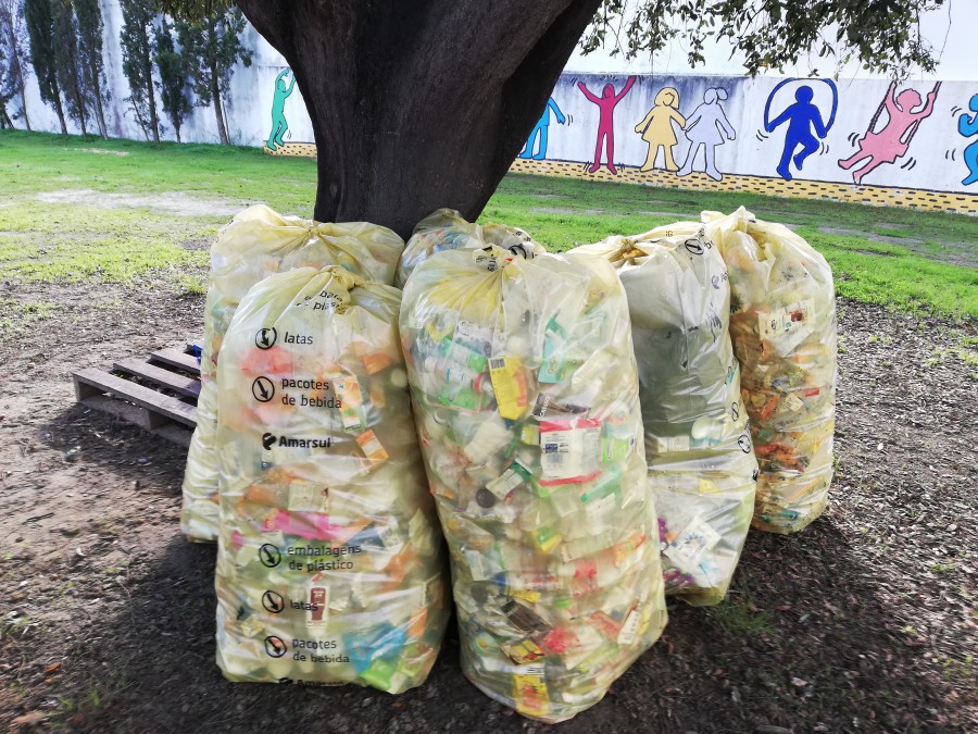 Amarsul envia para reciclagem 153 toneladas de resíduos recicláveis ECOVALOR criar hábitos de reciclagem junto da comunidade escolar
