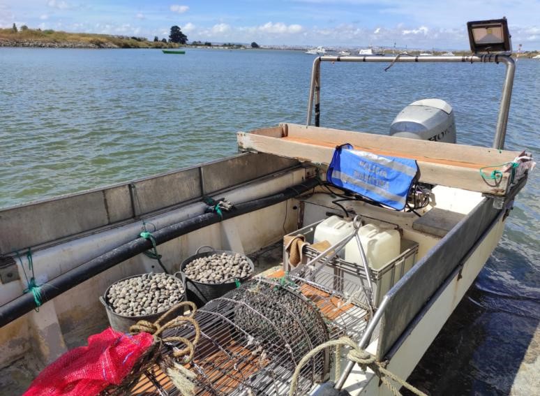Polícia Marítima apreende no no estuário do rio Tejo Duas embarcações de recreio e 180kg de amêijoa-japónica. . Devolvida ao seu habitat natural