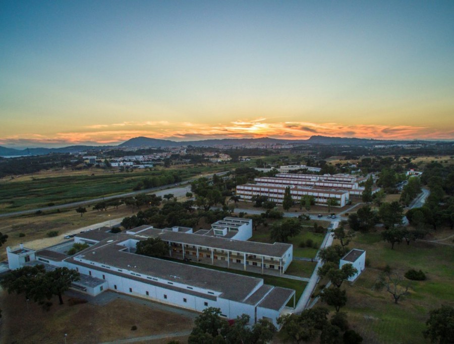 Uma parceria com a ULisboa e a Fundação Luso-americana para o Desenvolvimento Politécnico de Setúbal ministra curso piloto "Artes e Culturas na Educação”
