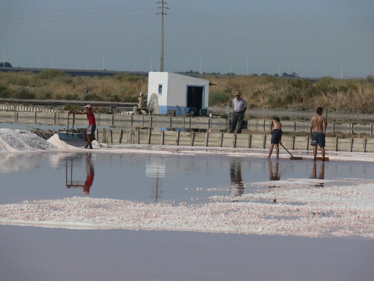 Alcochete - Fundação das Salinas do Samouco FestiSAL - SEJA SALINEIRO POR UM DIA E PARTICIPE NA RAPAÇÃO DE SAL