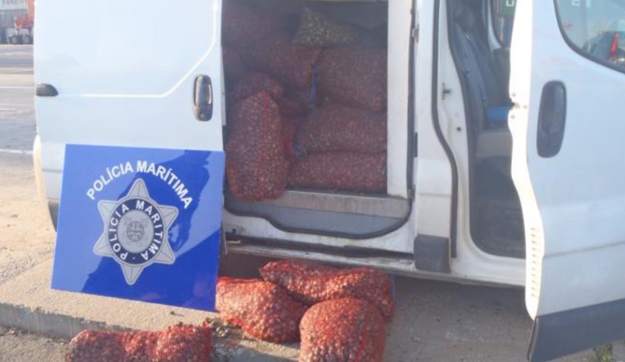 Na zona ribeirinha do Barreiro Polícia Marítima apreende três toneladas de amêijoa-japonesa