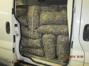 POLÍCIA MARÍTIMA APREENDE 1000 KG DE AMÊIJOA NO TEJO