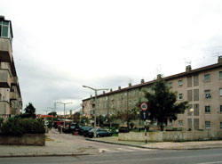 Arranjo Paisagístico no Logradouro entre os Blocos Mirandela e Soure