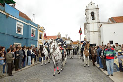 De novo Romaria a Cavalo Moita – Viana do Alentejo