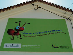 EcoMachada Actividades de Tempos Livres