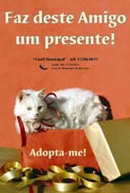 No Barreiro Campanha para adopção de animais