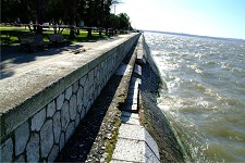 Avenida Bento Gonçalves no Barreiro Muralha vai ser reabilitada pelo APL