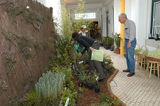 Ecoteca Municipal - Almada Oferta de árvores e arbustos juvenis em Almada