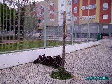Câmara Municipal da Moita Repudia actos de vandalismo no concelho