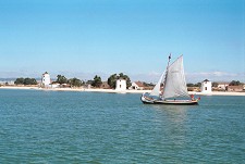 “PASSEIOS DE DOMINGO” – 28 de Junho Feriado Barreiro CMB convida barreirenses para viagem no Varino “Pestarola”