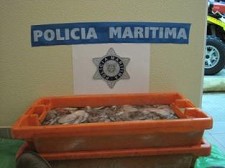 Ação de fiscalização em Tavira