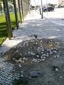 Acessibilidades na Cidade Sol Por Paula Costa