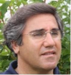 Muito Mais do que Mudar as Moscas Por Arnaldo Frade Santiago do Cacém