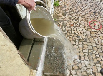 No tempo do Helder Madeira é que era bom! Por Isabel Mateus Braga Barreiro