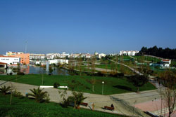 Parque da Cidade Escuteiros promovem actividades