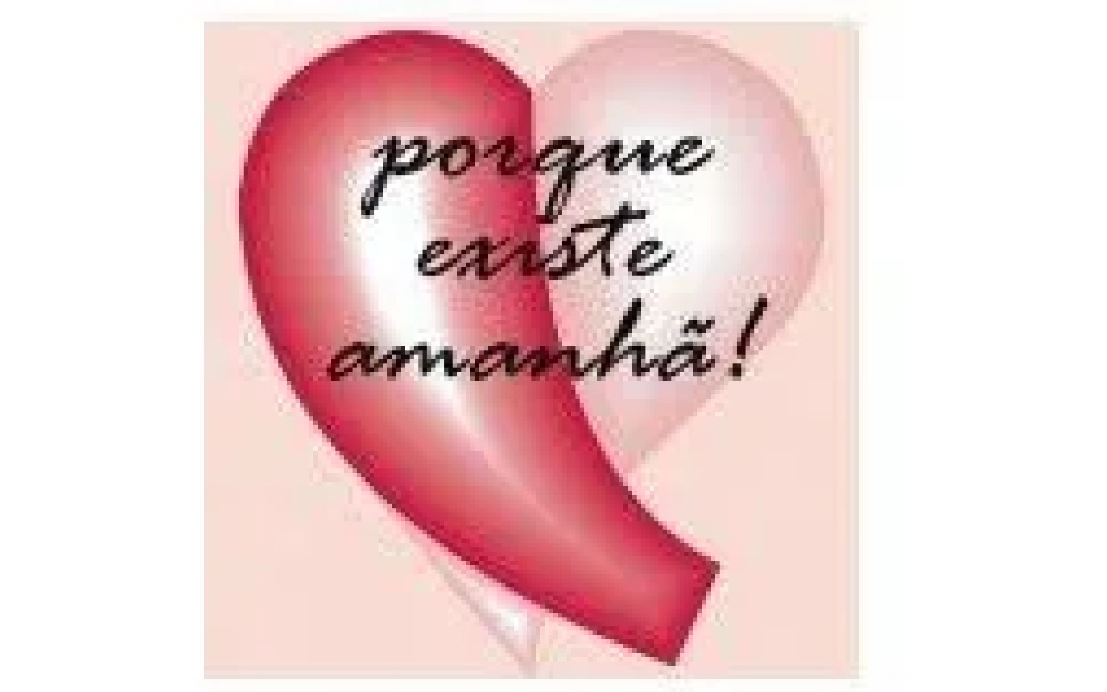 Barreiro - Associação de Mulheres com Patologia Mamária Assembleia Geral analisa Plano de Actividades de 2027