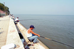 Silvereirense promove 17º Concurso de Pesca Desportiva