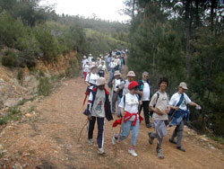 Uma caminhada pela amizade Da Quinta Marques da Costa à Serra de S. Mamede