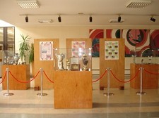 Grupo Desportivo Hospital do Barreiro “Contrariar a sociedade impessoal que existe actualmente”