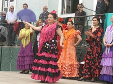 GRUPO DE AMIGOS DO BARREIRO VELHO POR QUE FOI POSSÍVEL A FESTA DA PRIMAVERA
